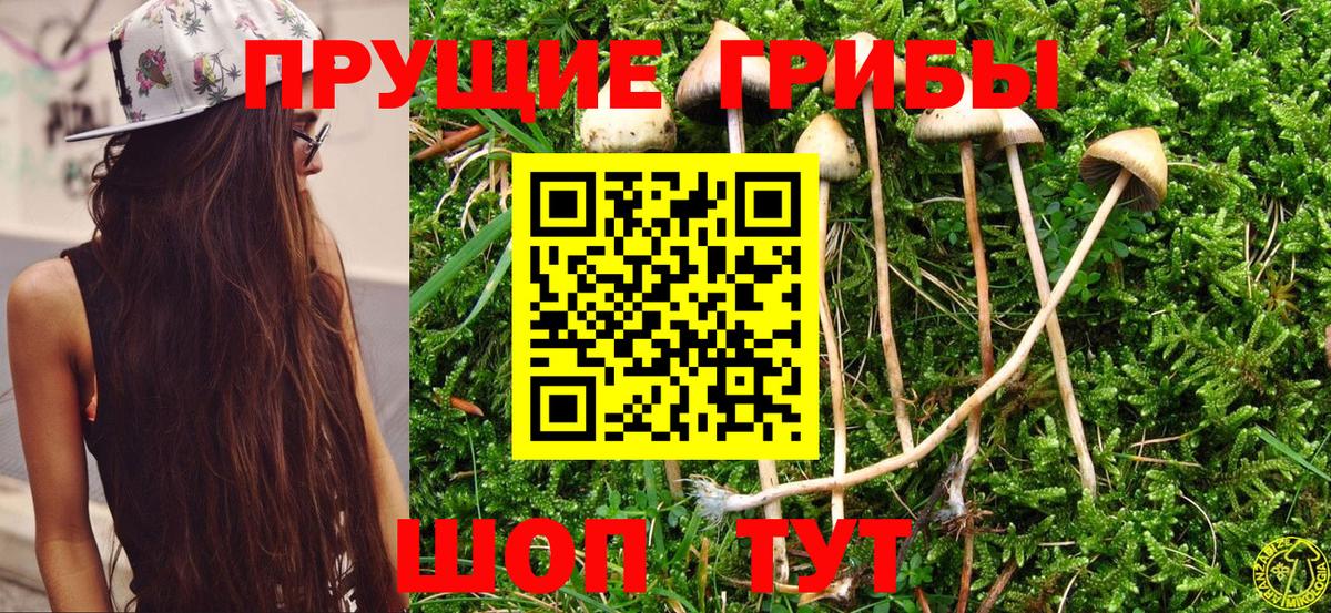 Бутират Лесозаводск