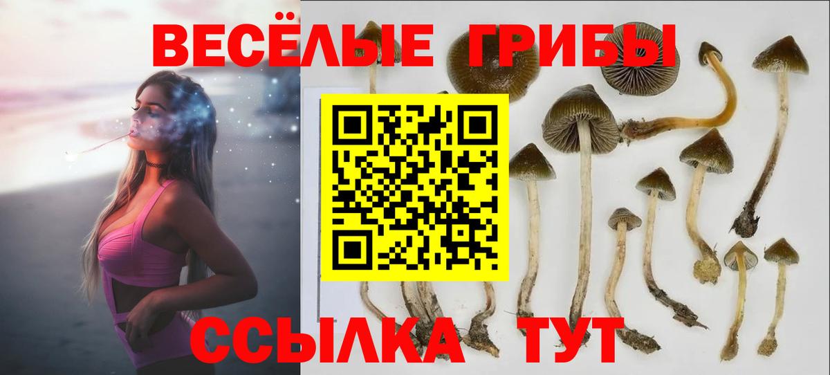 Псилоцибиновые грибы MAGIC MUSHROOMS  магазин    Лесозаводск  Вход с VPN 